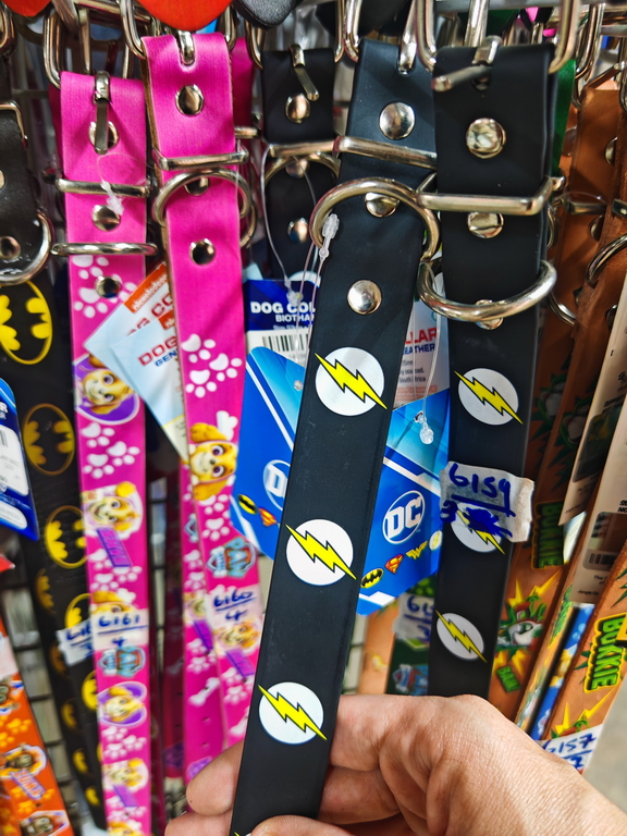 DOG COLLARS - PRETORIA NORTH (ICO020-03-26_ONLINE)