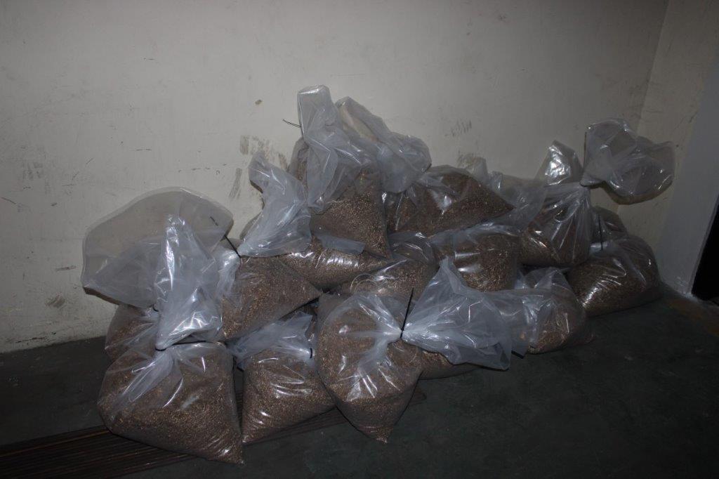 BRASS SHAVINGS - SECUNDA (SE01-2013-26)