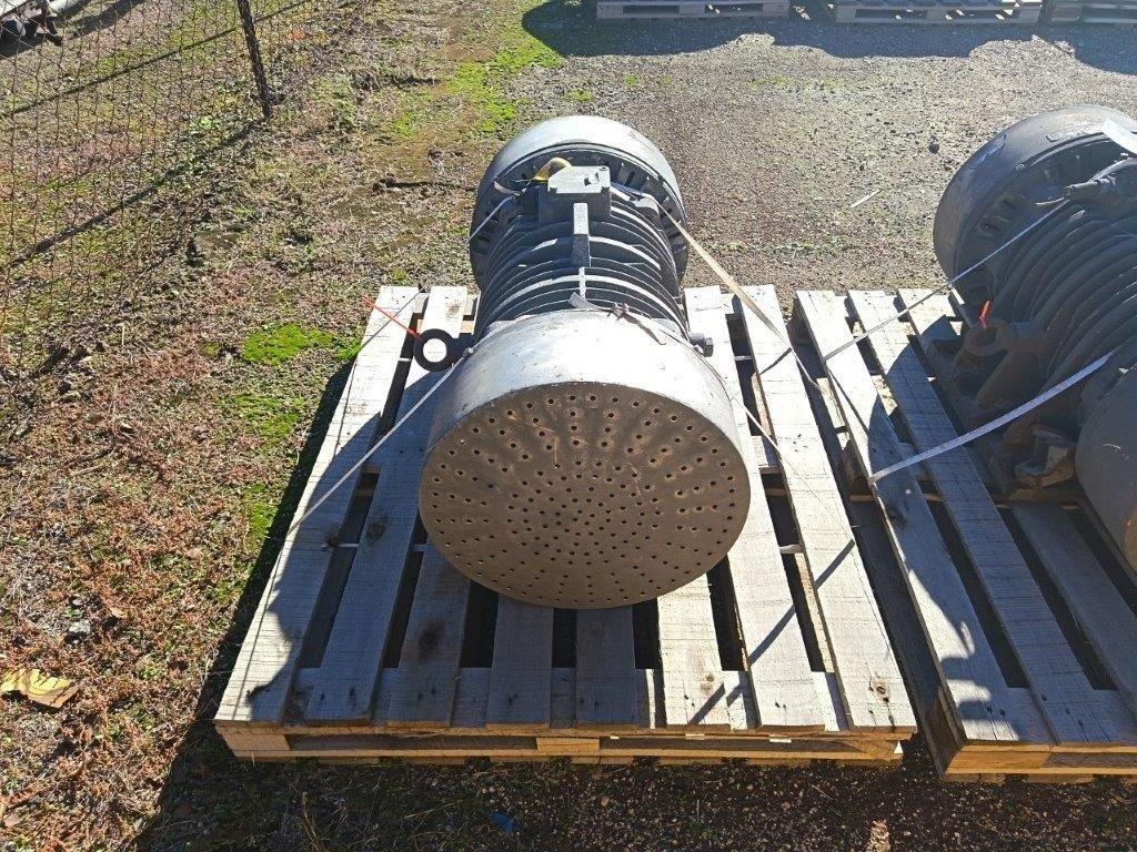 ELECTRICAL & VIBRATING MOTORS - SECUNDA (SE05-2088-26)